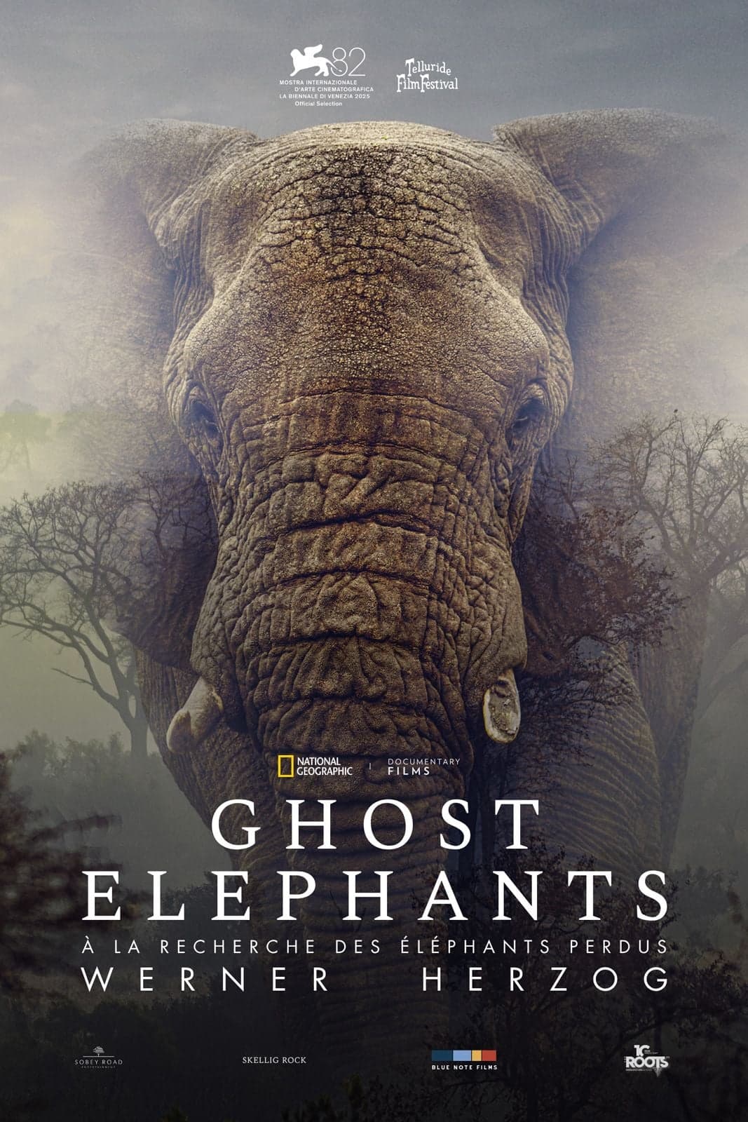 Movie cover